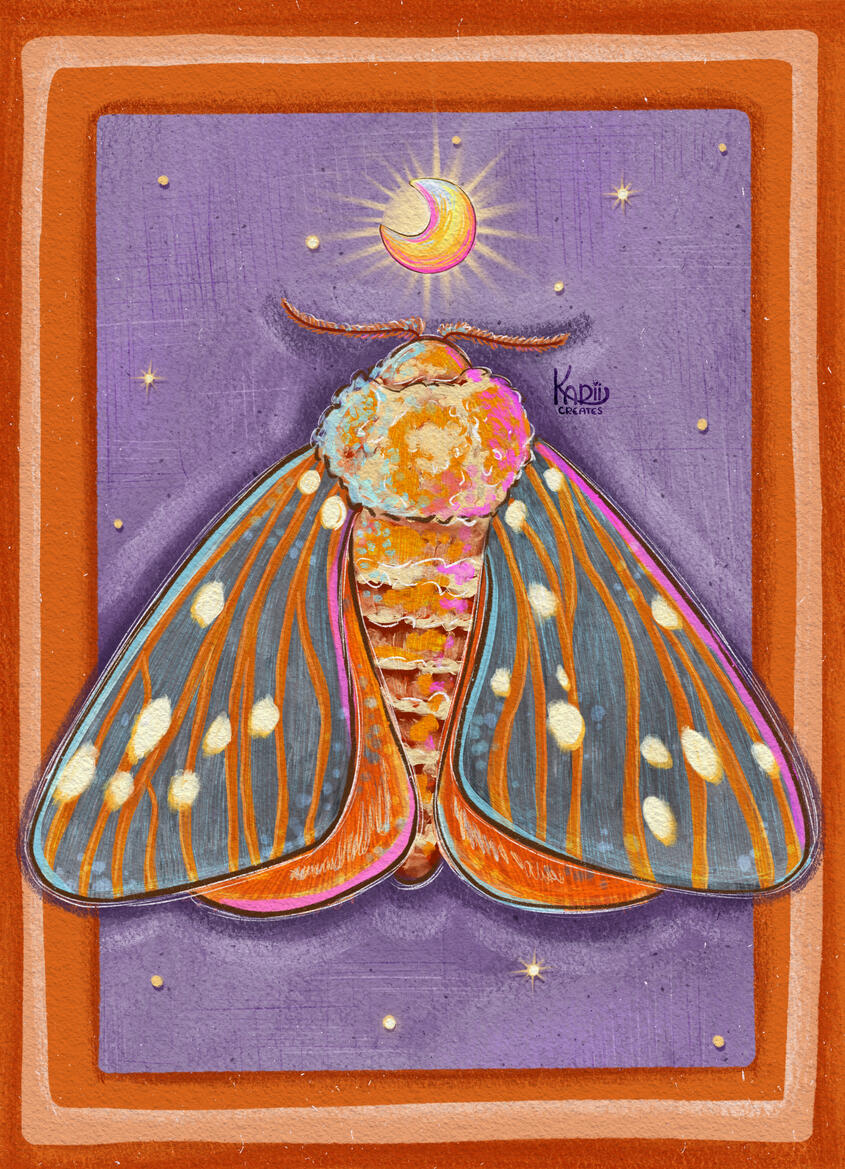 Moth Moth