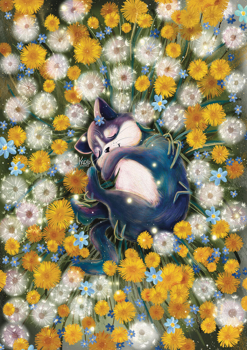 Dandelion dreams Dandelion dreams